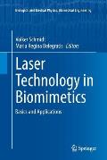 Laser Technology in Biomimetics: Basics and Applications