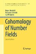 Cohomology of Number Fields