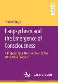 Panpsychism and the Emergence of Consciousness: A Proposal for a New Solution to the Mind-Body Problem