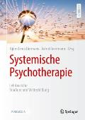 Systemische Psychotherapie: Lehrbuch F?r Studium Und Weiterbildung