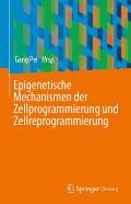 Epigenetische Mechanismen Der Zellprogrammierung Und Zellreprogrammierung