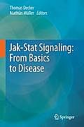 Jak-Stat Signaling: From Basics to Disease