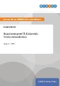 Branchenreport IT, Elektronik, Telekommunikation: Ausgabe 1/2013