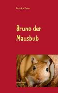 Bruno der Mausbub: Eine M?usegeschichte f?r Kinder ab 3 Jahren