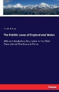 The Felsitic Lavas of England and Wales: With an Introductory Description of the Chief Characters of This Group of Rocks