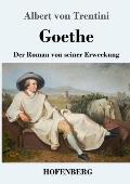 Goethe: Der Roman von seiner Erweckung