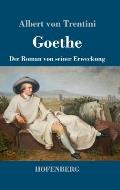 Goethe: Der Roman von seiner Erweckung