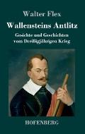 Wallensteins Antlitz: Gesichte und Geschichten vom Drei?igj?hrigen Krieg