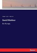 David Waldner: Ein Roman