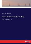 Herzog Wallenstein in Mecklenburg: Historischer Roman