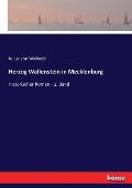 Herzog Wallenstein in Mecklenburg: Historischer Roman - 1. Band