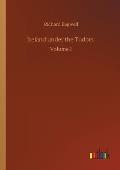 Ireland under the Tudors: Volume 1