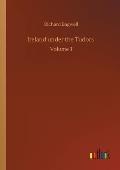 Ireland under the Tudors: Volume 3