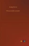The Juvenile Lavater
