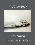 The Gray Book: Poetry & Photography