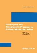 Seismogenic and Tsunamigenic Processes in Shallow Subduction Zones