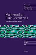 Mathematical Fluid Mechanics: Recent Results and Open Questions