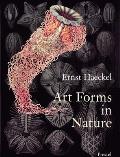 Art Forms In Nature the Prints of Ernst Haeckel