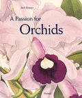 Passion For Orchids The Most Beautif