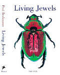 Living Jewels The Natural Design of Beetles