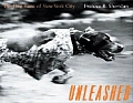 Unleashed The Dog Runs Of New York Cit