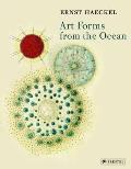 Art Forms from the Ocean: The Radiolarian Prints of Ernst Haeckel