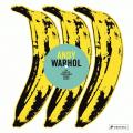 Andy Warhol The Complete Commissioned Record Covers 1949 1987 Catalogue Raisonne