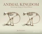 Animal Kingdom Stereoscopic Images of Natural History