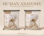 Human Anatomy Stereoscopic Images of Medical Species