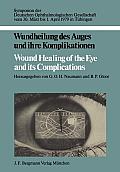 Wundheilung Des Auges Und Ihre Komplikationen / Wound Healing of the Eye and Its Complications: Symposion Der Deutschen Ophthalmologischen Gesellschaf