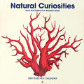 Cal03 Natural Curiosities Wall From The