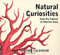 Cal03 Natural Curiosities Day To Day