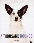 Thousand Hounds