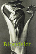 Karl Blossfeldt 1865 1932 Photo Book