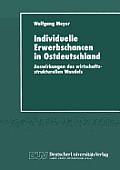 Individuelle Erwerbschancen in Ostdeutschland: Auswirkungen Des Wirtschaftsstrukturellen Wandels