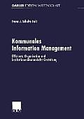 Kommunales Information Management: Effiziente Organisation Und Institutionen?konomische Gestaltung