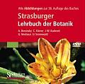 Strasburger Lehrbuch der Botanik: Alle Abbildungen Des Buches