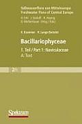 S??wasserflora Von Mitteleuropa, Bd. 02/1: Bacillariophyceae, 1. Teil: Naviculaceae, A: Text; B: Tafeln