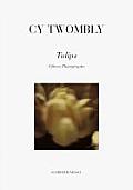 Cy Twombly Tulips Fifteen Photographs