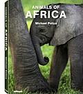 Animals Of Africa