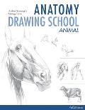 Anatomy Drawing School Animal