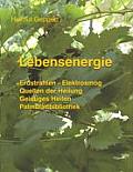 Lebensenergie: Erdstrahlen - Elektrosmog, Quellen der Heilung, Geistiges Heilen, Palmblattbibliothek