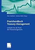 Praxishandbuch Treasury-Management: Leitfaden F?r Die PRAXIS Des Finanzmanagements