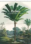 Palms - 2012