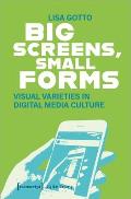 Big Screens, Small Forms: Visual Varieties in Digital Media Culture