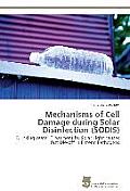Mechanisms of Cell Damage during Solar Disinfection (SODIS)