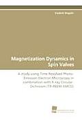 Magnetization Dynamics in Spin Valves