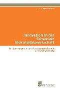 Innovation in der Schweizer Elektrizit?tswirtschaft