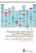 Transmembrandom?nen des P2X1-Rezeptors: Trimerbildung & Funktion