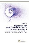 Expression der Polo-like-Kinase 1 und 3 im Magenkarzinom